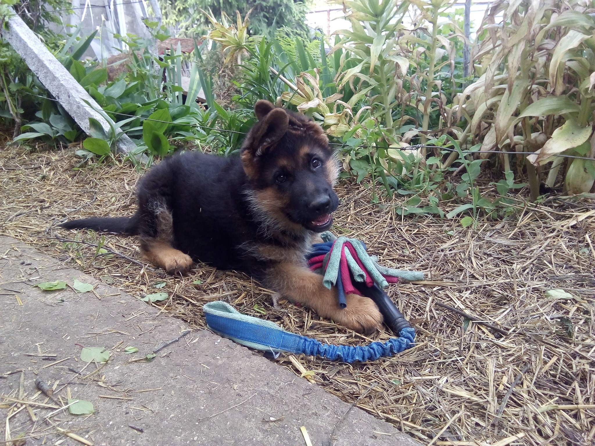 Cent_2 month 10 days_1.jpg